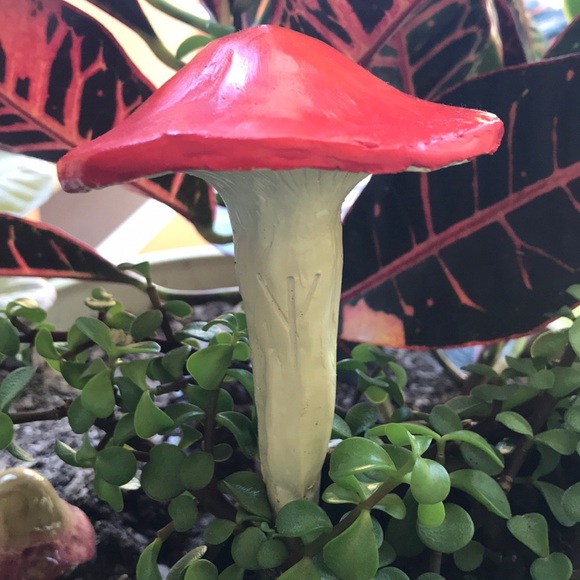 [1] HANDMADE MUSHROOM GARDEN STAKE! 🍄 Bundle & chat - Picture 7 of 14